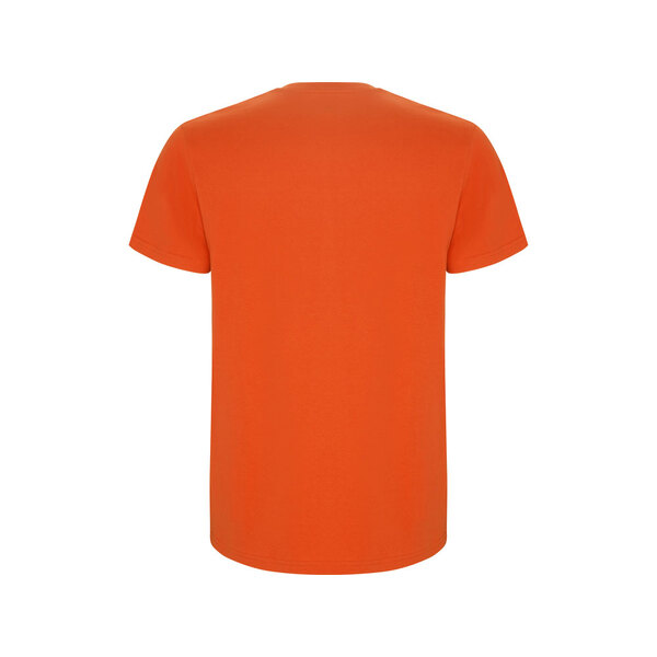 OA-6681312XL
