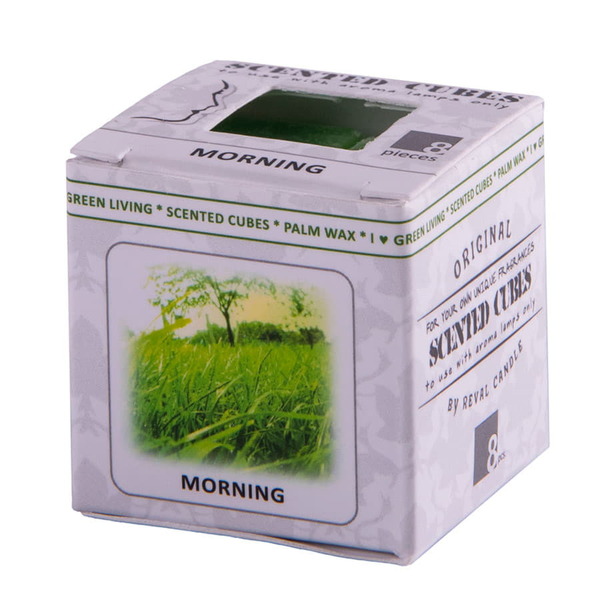 hg-32601/morning