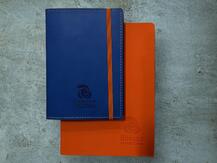 IMG_4390 (2025_02_21 18_33_37 UTC) (1)999